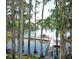 Picturesque view of the lake with a wooden dock, framed by tall trees and Spanish moss for a serene experience at 1218 Gillespie N Dr, Palm Harbor, FL 34684