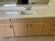 Bathroom vanity featuring a modern countertop, sleek sink, and light wood cabinetry at 13211 Park Blvd, Seminole, FL 33776