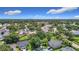 Expansive aerial view of a residential neighborhood with mature trees and blue skies at 1530 High Knoll Dr, Brandon, FL 33511