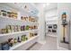 Well-organized walk-in pantry with ample shelving for storage and easy access at 16677 Vibrato Ln, Land O Lakes, FL 34638