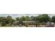 Charming single-story home with a cozy carport and a lush, green yard filled with mature trees at 17026 State Road 54, Lutz, FL 33558