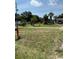 Great front yard space featuring lush green grass and tropical palm trees at 17026 State Road 54, Lutz, FL 33558
