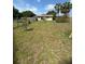 A sprawling front yard with plenty of space and beautiful trees at 17026 State Road 54, Lutz, FL 33558