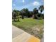 Scenic front yard with lush green grass and majestic palm trees at 17026 State Road 54, Lutz, FL 33558