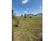 Expansive grassy area, ideal for outdoor activities, with buildings visible in the background at 17026 State Road 54, Lutz, FL 33558
