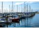 Picturesque marina scene with many boats docked under a clear sky, capturing a vibrant waterfront atmosphere at 200 4Th S Ave # 303, St Petersburg, FL 33701
