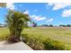 Green backyard with lush landscaping overlooking a verdant field under a partly cloudy sky at 2309 New Orchard Ct, Sun City Center, FL 33573
