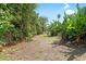 Picturesque backyard with trees and shrubs at 2513 Regal River Rd, Valrico, FL 33596