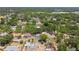 Lush aerial view of residences with pools and screened enclosures surrounded by mature trees at 3041 Avalon Terrace Dr, Valrico, FL 33596