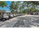 Row of golf carts parked with golf course in the background, ready for a round of golf at 3119 Bent Creek Dr, Valrico, FL 33596