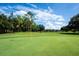 Expansive golf course with lush green fairways, set against a backdrop of trees and blue sky at 3119 Bent Creek Dr, Valrico, FL 33596