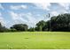 Scenic golf course view showcasing lush green fairways and open skies on this sunny day at 3119 Bent Creek Dr, Valrico, FL 33596