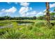 Picturesque pond surrounded by green vegetation, showcasing a peaceful golf course setting at 3119 Bent Creek Dr, Valrico, FL 33596