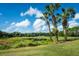 Picturesque view of a pond lined with palm trees and lush greenery on a golf course under a blue sky with clouds at 3119 Bent Creek Dr, Valrico, FL 33596