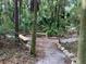 A serene and shaded walking trail with wooden benches and natural landscaping at 3119 Bent Creek Dr, Valrico, FL 33596