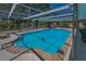 Enclosed pool with lounge chairs and clear blue water ready for a swim at 3133 Pineview Dr, Holiday, FL 34691