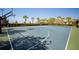Full basketball court, surrounded by palms, offering recreation for residents in a Gathering-friendly community at 5609 Silver Sun Dr, Apollo Beach, FL 33572