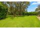 Expansive backyard with lush lawn, mature trees, and outdoor seating area at 5902 Audubon Manor Blvd, Lithia, FL 33547