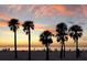 Picturesque beach scene with palm trees silhouetted against a vibrant sunset, a serene coastal view at 833 Lantana Ave, Clearwater Beach, FL 33767