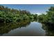Scenic water view, offering a tranquil escape surrounded by lush greenery at 962 Marco Ne Dr, St Petersburg, FL 33702