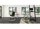 Home gym boasts modern equipment, windows, and gray flooring for a comfortable workout space at 10870 Rustic Eve Ct, Land O Lakes, FL 34638