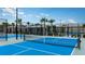 Outdoor pickleball courts with net, fencing, landscaping, and ample space for play at 10870 Rustic Eve Ct, Land O Lakes, FL 34638