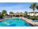 Community pool with lounge chairs, shaded pavilion, and swaying palm trees at 11548 Crowned Sparrow Ln, Tampa, FL 33626