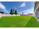 Expansive backyard with lush green grass, enclosed by a white vinyl fence at 11625 Tetrafin Dr, Riverview, FL 33579
