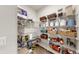 Spacious walk-in pantry with ample shelving, ideal for organized food storage and kitchen essentials at 11625 Tetrafin Dr, Riverview, FL 33579