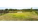 Wide view of the private backyard with pond and fence, with lush green grass and a neighborhood view at 14623 Horse Trot Rd, Lithia, FL 33547