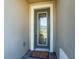 Close up front door with glass window and stylish doormat with flower designs at 14623 Horse Trot Rd, Lithia, FL 33547