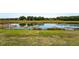 Distant view of the pond and lush backyard, bordering the neighborhood at 14623 Horse Trot Rd, Lithia, FL 33547