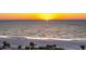 A scenic beach with beautiful sunset views and palm trees to relax under at 1581 Gulf Blvd # 301N, Clearwater Beach, FL 33767