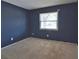 Bedroom with a window providing natural light and neutral carpeting at 1915 Peppertree Dr, Oldsmar, FL 34677