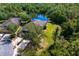Aerial view showcasing the property and pond surrounded by mature trees at 19194 Lake Audubon Dr, Tampa, FL 33647