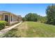 Expansive backyard featuring lush green grass and mature trees offering ample space for outdoor activities at 19194 Lake Audubon Dr, Tampa, FL 33647