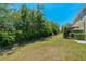 Well-maintained backyard with a defined border and mature trees at 20117 Indian Rosewood Dr, Tampa, FL 33647