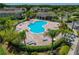 Aerial view of a kidney shaped community pool with lounge chairs at 20117 Indian Rosewood Dr, Tampa, FL 33647