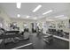 Well-equipped gym featuring modern machines, free weights, and mirrored walls for a complete fitness experience at 20117 Indian Rosewood Dr, Tampa, FL 33647