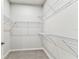 Walk-in closet featuring wire shelving and neutral carpet at 3764 Laughing Dove Ave, Sun City Center, FL 33573