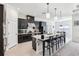 Sleek modern kitchen featuring dark cabinets, a large island, and stainless steel appliances at 3952 Bonfire Dr, Odessa, FL 33556