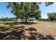 View of large backyard with mature shade trees, green grass, shed and perimeter fence at 4416 Tevalo Dr, Valrico, FL 33596