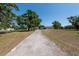View of the driveway leading to the home, surrounded by mature trees, green grass and blue skies at 4416 Tevalo Dr, Valrico, FL 33596
