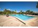 Resort-style swimming pool with palm trees and brick patio under a sunny blue sky at 4816 Snook Se Dr # F, St Petersburg, FL 33705