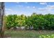 Exterior landscaping shows manicured shrubs and green lawn at 1231 Godavari Way # 103, Wesley Chapel, FL 33543