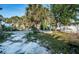 Street view with a blend of natural vegetation, offering open space and natural beauty at 12409 Gulf Blvd, Treasure Island, FL 33706
