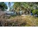 Lot with a mix of natural vegetation, offering a blend of open space and natural beauty at 12409 Gulf Blvd, Treasure Island, FL 33706