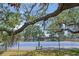 The community's private blue tennis court is visible through lush foliage and fencing at 2693 Sabal Springs Cir # 201, Clearwater, FL 33761