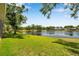 Expansive backyard featuring lush green grass that slopes down to a serene lake, framed by mature trees at 3610 Montero Ct, Sun City Center, FL 33573