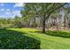 Expansive backyard featuring lush greenery and mature trees, perfect for outdoor relaxation and recreation at 36750 Us 19 N # 06111, Palm Harbor, FL 34684